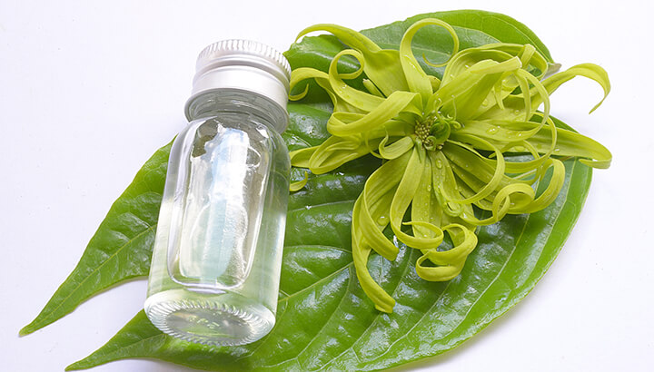 ylang ylang essential oil to diffuse