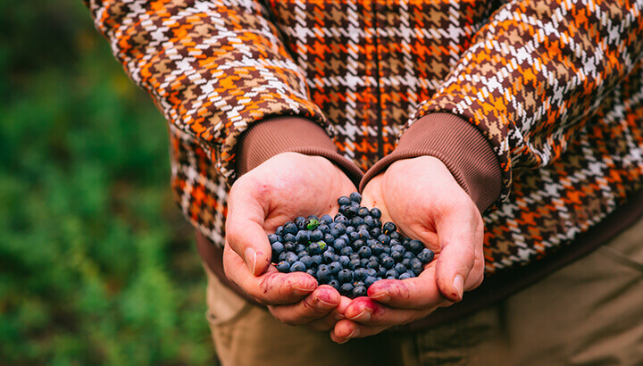 Blueberries can help your penis function better