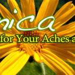 Arnica: The Herb for Your Aches and Pains