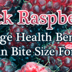 Black Raspberries – Huge Health Benefits in Bite Size Form