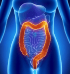 Harvard: The Benefits, Risks & Alternatives to Colonoscopies