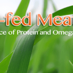 Choose Grass-fed Meats for a Healthy Source of Protein and Omega 3’s