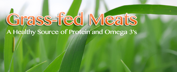 Choose Grass-fed Meats for a Healthy Source of Protein and Omega 3's