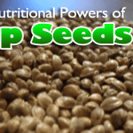 The Many Nutritional Powers of Hemp Seeds