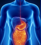 The Link Between Your Leaky Gut and Heart Disease