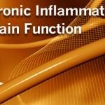 Chronic Inflammation Affects Brain Function
