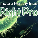 Promote a Healthy Intestinal Flora with the Right Probiotics