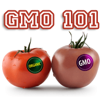 GMO 101 -What Does It All Mean?
