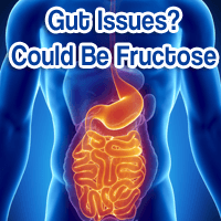 Doc: Gut Problems in Americans Caused by Daily Fructose Overdosing