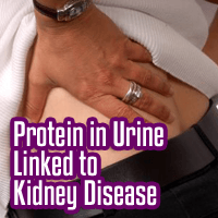 Protein in Urine Linked to Kidney Disease