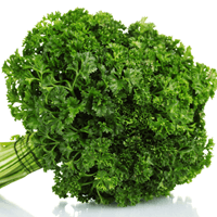 Accelerate Your Antioxidant Intake with Parsley