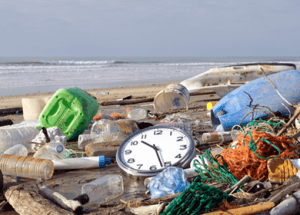 Plastic Debris Killing Wildlife and Seeping Into the Food System