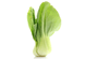 bokchoy3veggies