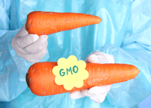 Doctor: Widespread Use of GMO Frankenfoods Unconscionable