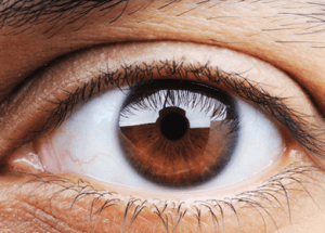 Your Iris Could Diagnose Cancer, Heart Disease, HIV and More