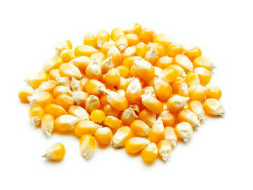 corn