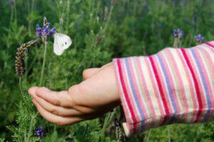 lavender and child