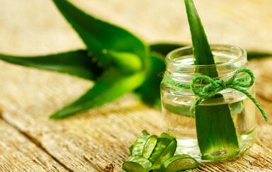 aloe