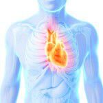 3d rendered illustration – heart attack