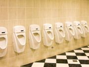 Could Pee Power be the New Clean Energy of the Future?