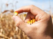 Supreme Court Sides With Monsanto
