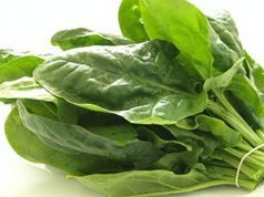 Build Strong Bones with Spinach