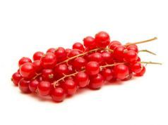 Buffaloberry – The Little-Known Fruit with a Powerful Antioxidant