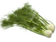 Health Benefits of Fennel and How to Use It