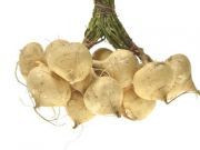 Jicama – The Versatile Root with Prebiotic Properties