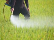 Pesticides Found in Blood Linked to Alzheimer’s