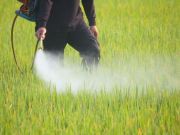 Pesticides Found in Blood Linked to Alzheimer’s