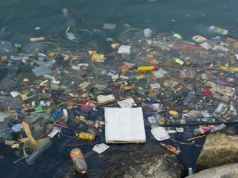 Oceans Full of Plastic Impacting Seafood Quality