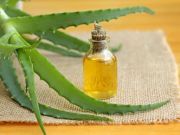 5 Reasons to Love Aloe Vera – The Medicinal Superfood