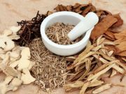 Astragalus is an Ancient Plant Root that Boosts Immunity