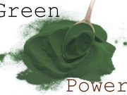 8 Reasons Why You Need Chlorophyll