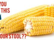 Whole Food in Your Poop: How to Energize Your Enzymes