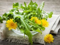 5 Ways to Enjoy Dandelions