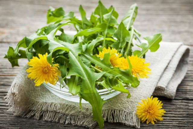 5 Ways to Enjoy Dandelions