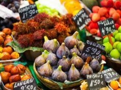 Innovative Arizona Elementary School Combines Gardening with Math Lessons