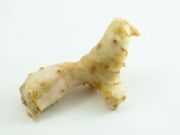 Alpinia galanga – The Ginger Loaded with Antioxidants