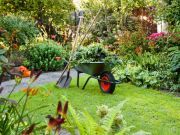 If You are Feeling Blue Plant a Garden