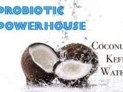 Coconut Kefir Water: A Probiotic Powerhouse
