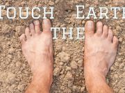 Can a Lack of Contact with the Earth Promote Disease?
