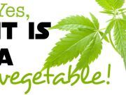 Why “Weed” is a Vegetable and Why Juicing it is Best