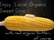 2 “Types” of Killer Corn You Should Avoid and 1 Type You Should Enjoy corn