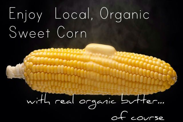 2 “Types” of Killer Corn You Should Avoid and 1 Type You Should Enjoy corn