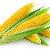 corn140423