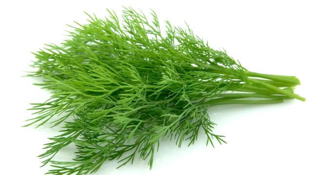 fennel