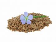 Phytoestrogens in Flaxseed May Halt Cancer