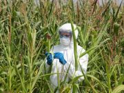 Biotech Giants Attempting to Override State GMO Labeling Laws at the Federal Level
